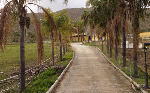 FINCA MIJAS COSTA 80.000 METROS IDEAL GANADERIA Y CABALLOS.
