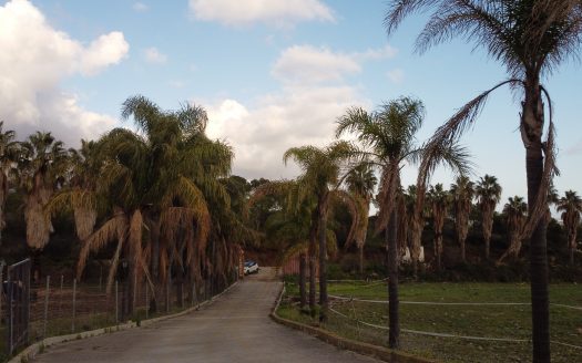 FINCA MIJAS COSTA 80.000 METROS IDEAL GANADERIA Y CABALLOS.