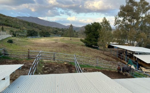 FINCA MIJAS COSTA 80.000 METROS IDEAL GANADERIA Y CABALLOS.